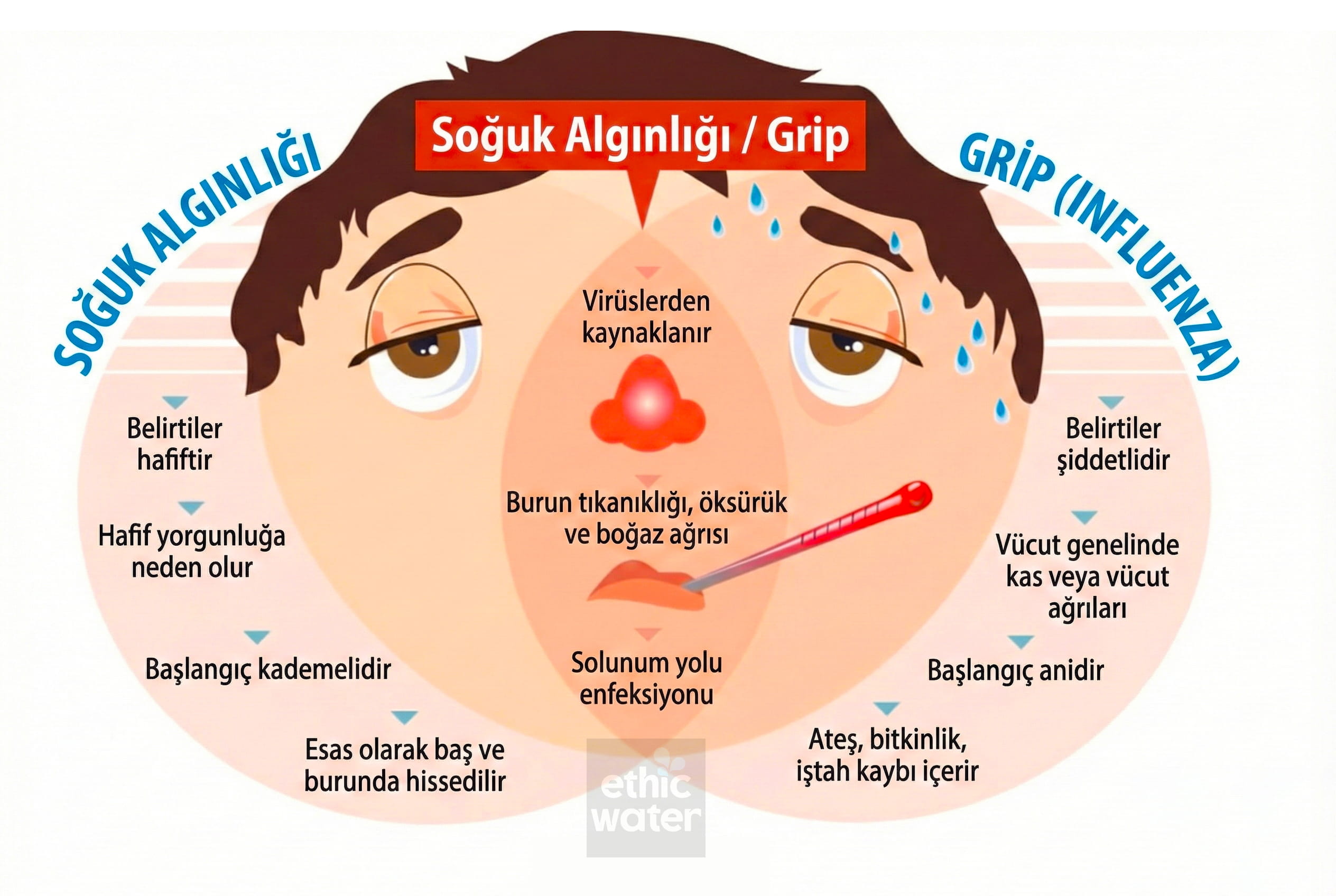 Kışın Gripten Korunma: 6 Etkili ve Bilimsel Yol