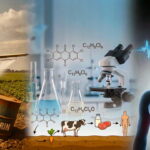 Aldrin ve Dieldrin Nedir? Özellikleri ve İnsan Sağlığına Etkileri