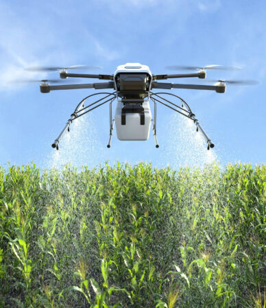 Atrazin Nedir? Özellikleri ve İnsan Sağlığına Etkileri