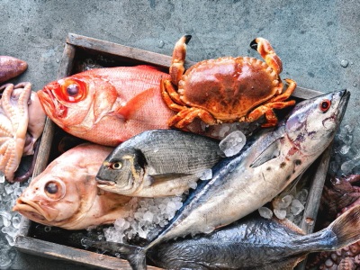 Balık ve Deniz Ürünleri