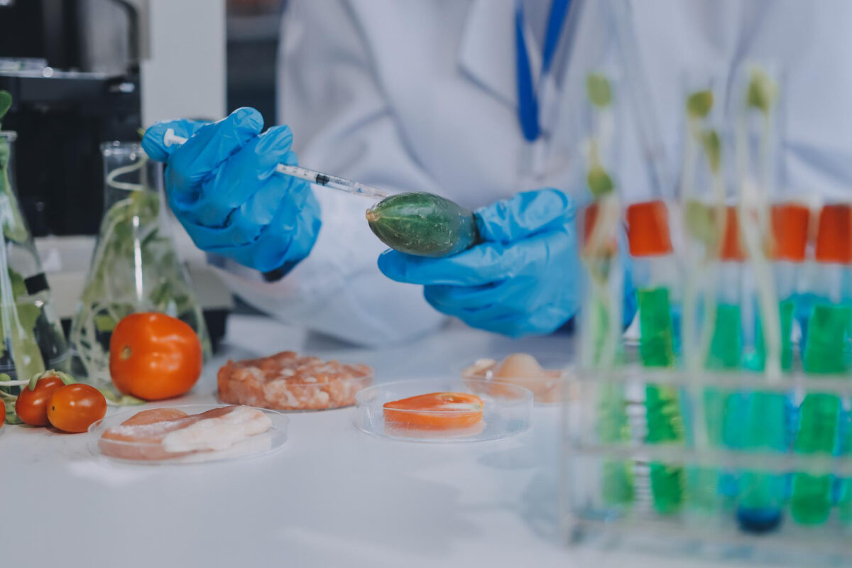 GDO'lu Ürünler Nedir? Bilim, Risk ve Etiket Rehberi