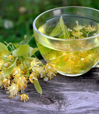 Ihlamur Çayı: Faydaları ve Demleme Rehberi