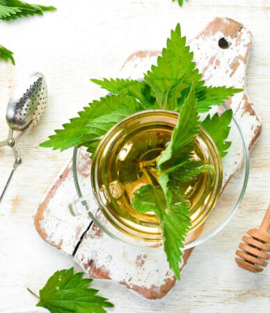 Melisa Çayı Faydaları ve Kullanım Rehberi