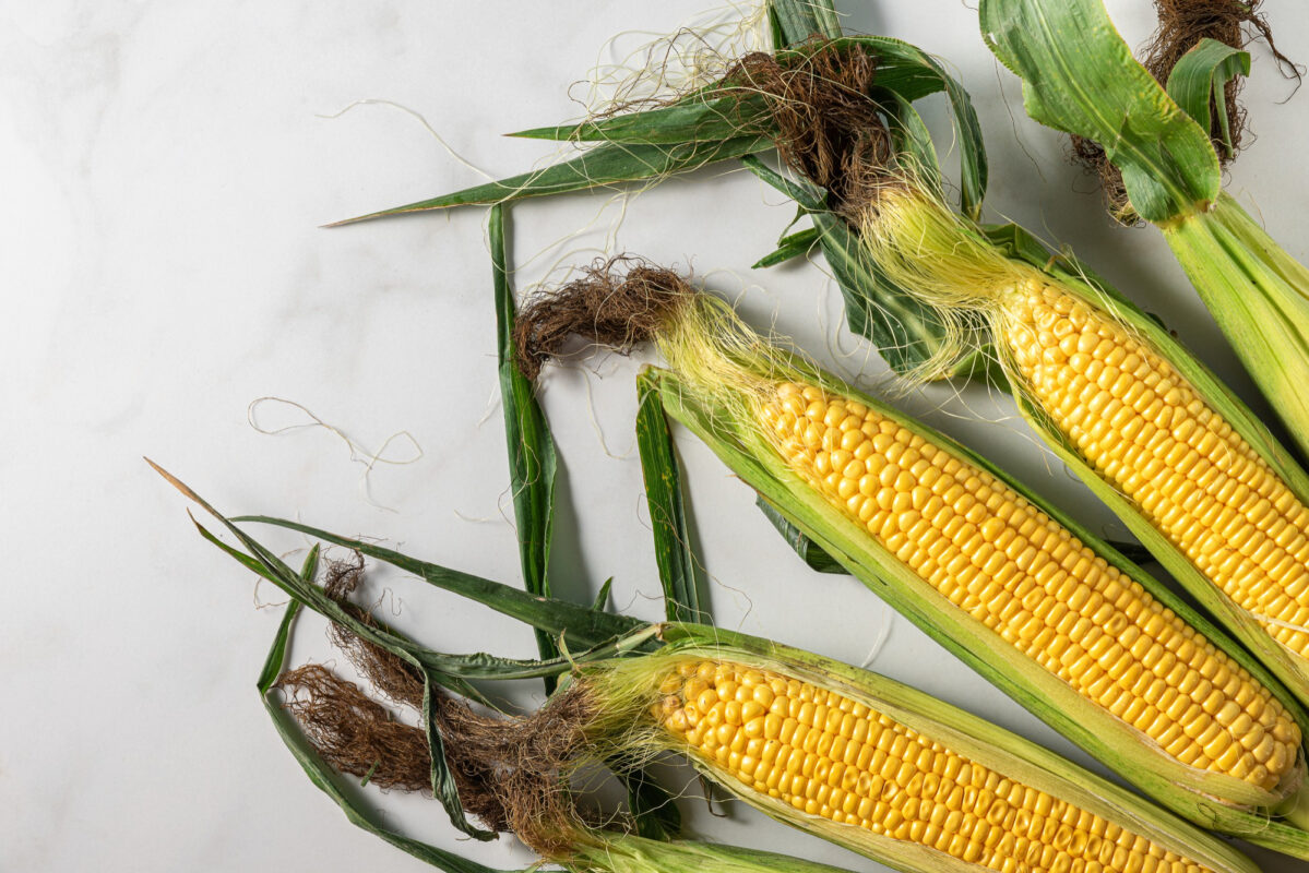 Mısır Püskülü Çayı: Faydaları, Kullanımı ve Riskler