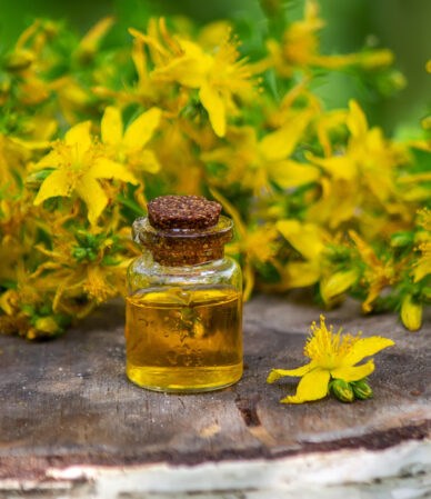 Sarı Kantaron Yağı Faydaları ve Kullanımı