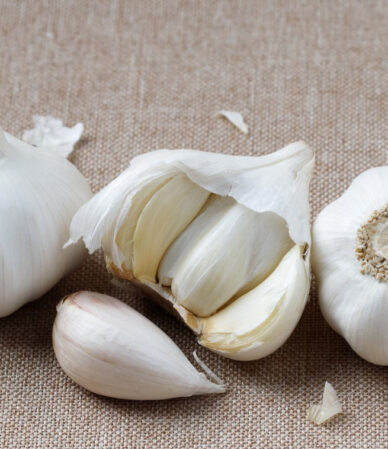 Sarımsak Faydaları: Bilimsel Kanıtlı Rehber