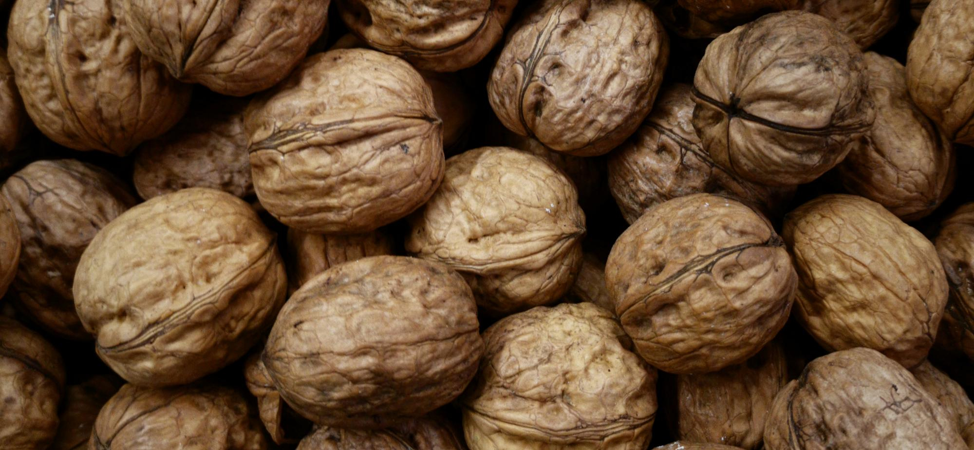 Cevizin Faydaları: Bilimsel ve Net Rehber