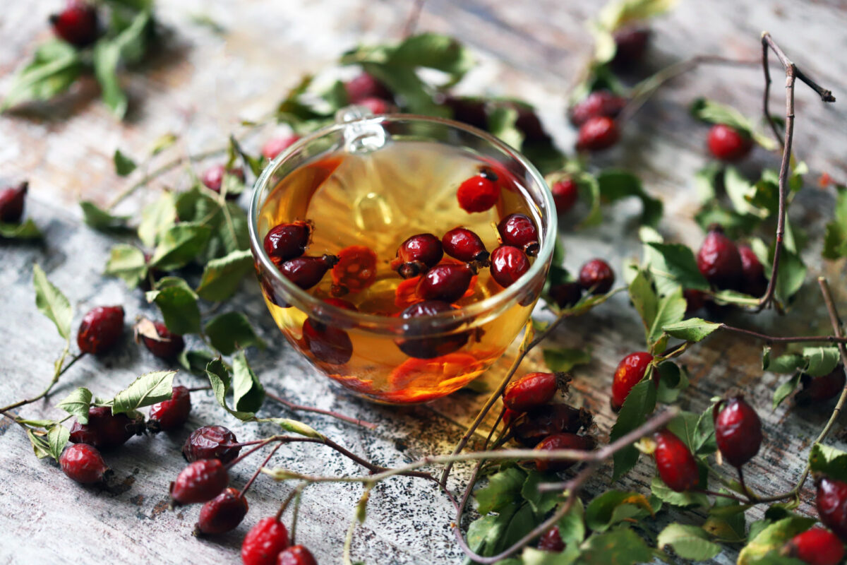 Kuşburnu Çayı Faydaları ve Doğru Kullanımı